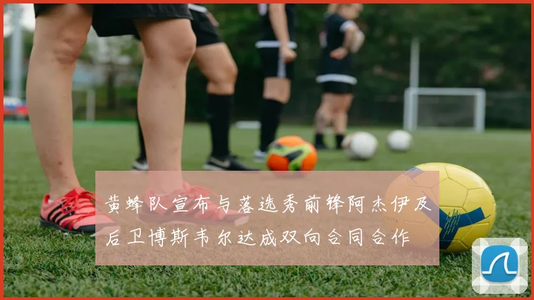 黄蜂队宣布与落选秀前锋阿杰伊及后卫博斯韦尔达成双向合同合作