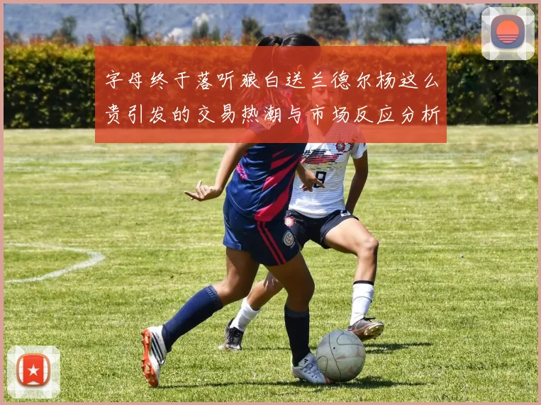 字母终于落听狼白送兰德尔杨这么贵引发的交易热潮与市场反应分析