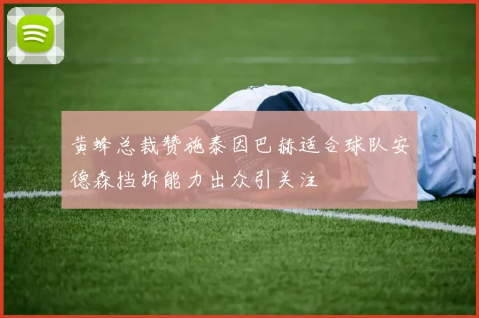 黄蜂总裁赞施泰因巴赫适合球队安德森挡拆能力出众引关注
